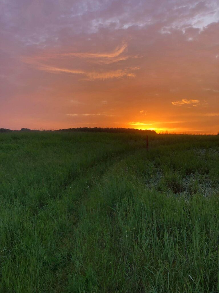 Sunset over the grasslands of the Ice Age Trail.