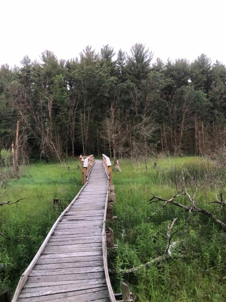 Wooden bridge at Bohn Lake along the Ice Age Trail