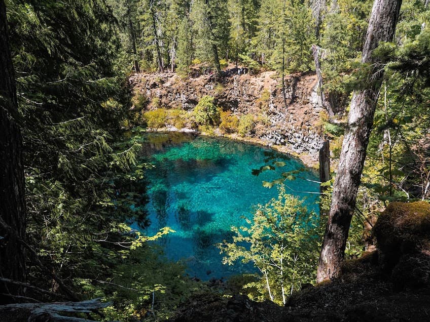 View of the Tamolitch Blue Pool in Oregon from above, surrounded with trees.