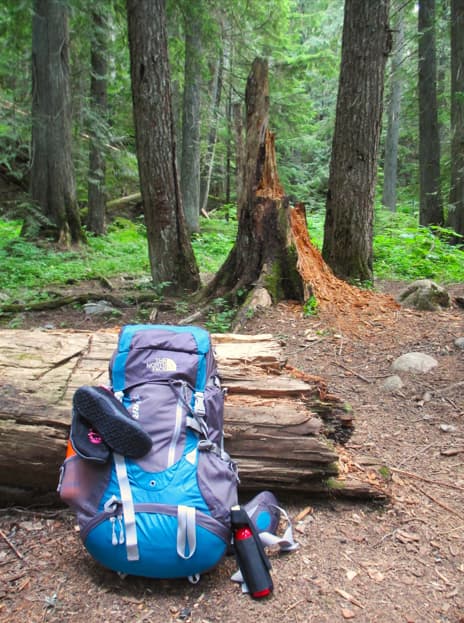 The North Face pack leaning against a log at a backcountry campsite.