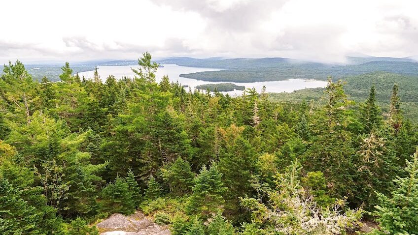 Trees and views from Bald Mountain, Maine.