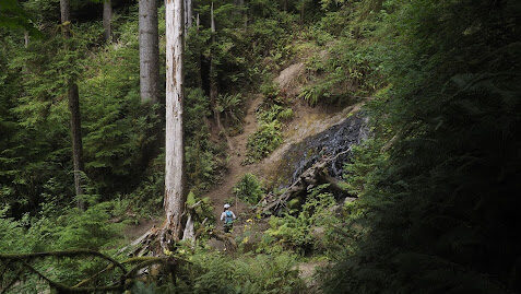 Hiking to Fern Falls on the Boy Scout Tree Trail.