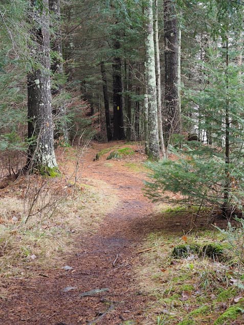 The Ice Age Trail as it goes along the Eau Claire River in Marathon County, Wisconsin.