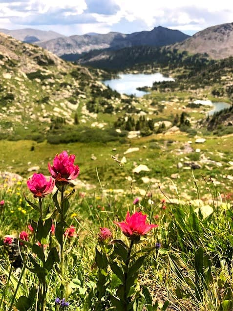 Indian Paintbrush wildflowers with view of Missouri Lakes.