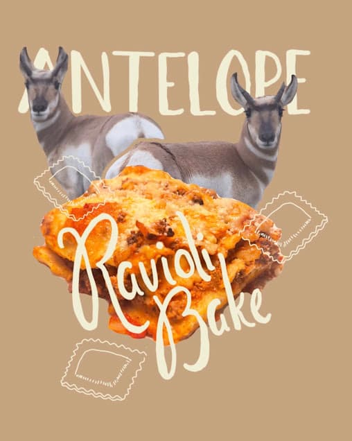 Graphic for antelope ravioli bake wild game recipe