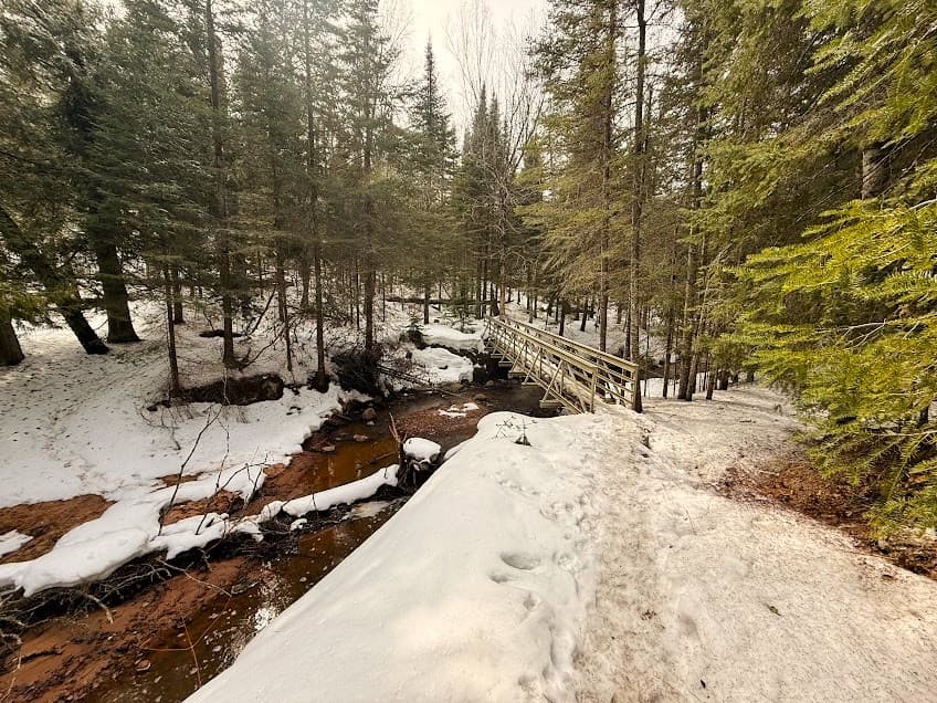 Bridge crossing a creek on the Lakeshore Trail through a balsam forest.
