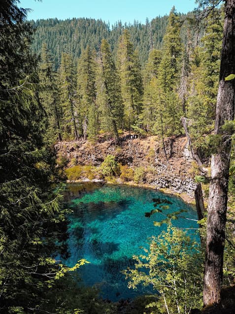 View of the turquoise blue water of Tamolitch Blue Pool in Willamette National Forest.