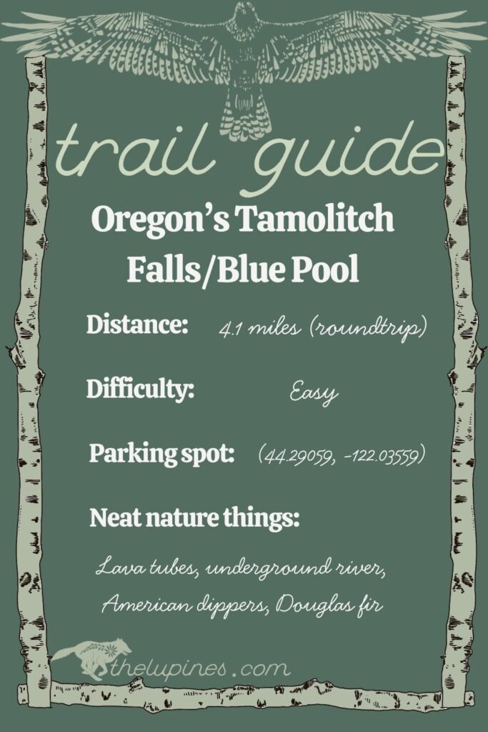 Trail Guide graphic to Tamolitch Blue Pool