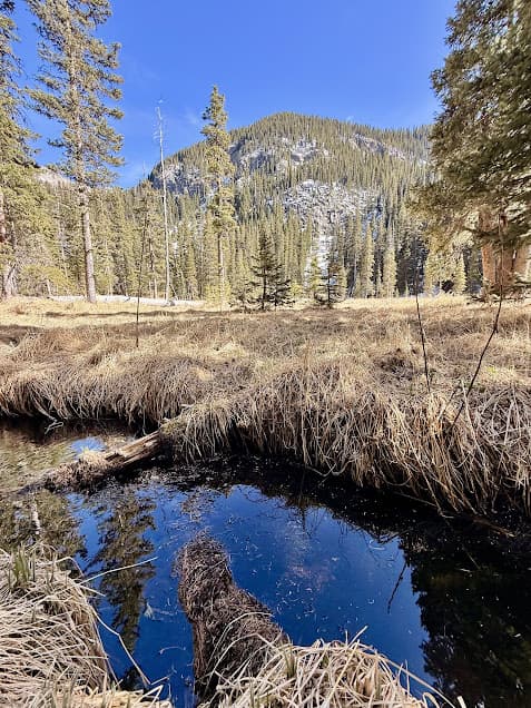 Meadow and stream with mountains in New Mexico along a hiking trail.