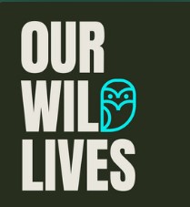 Podcast cover art for Our Wild Lives