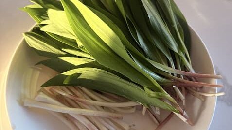 Wild ramps in a bowl.