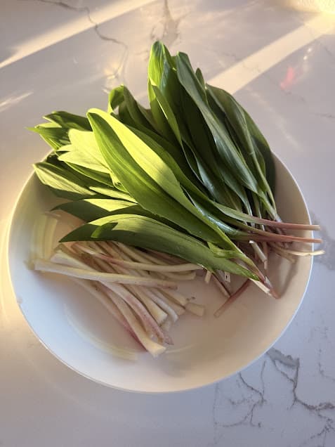 Wild ramps on a plate to be prepared for cooking.