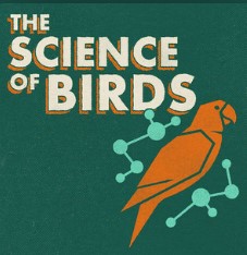 cover art for Science of Birds podcast.