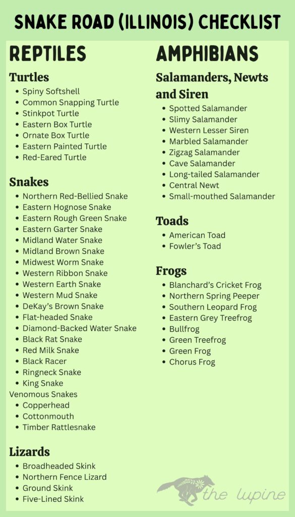 Checklist of Reptiles and Amphibians at Snake Road in Illinois.