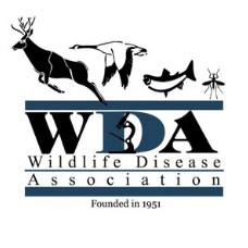 cover art for Wildlife Health Talks
