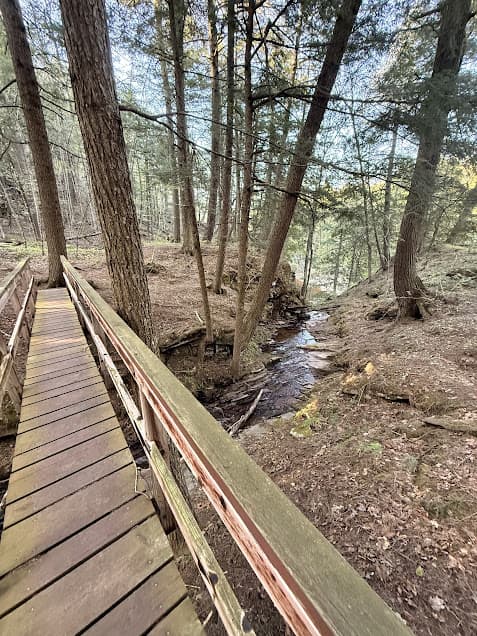 Boardwalk over one of the many streams running into the Black River in Michigan.