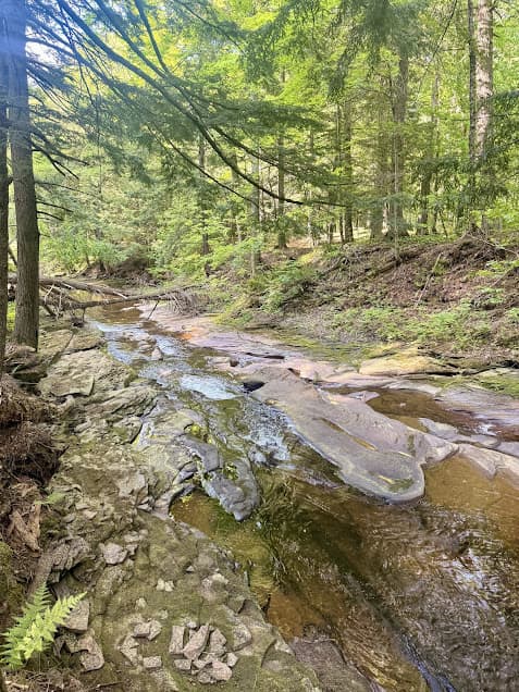 Small rocky cascade on the Little Carp River in Michigan's Upper Peninsula.