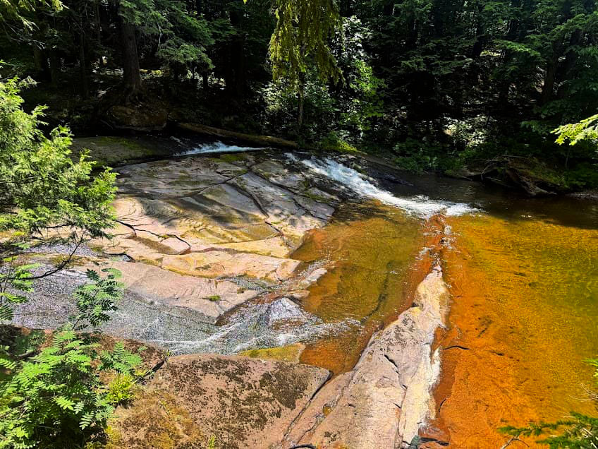 Pool of water on the Carp River.