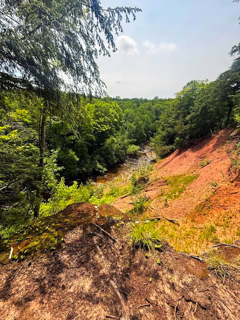 View of Carp River from Big Carp River Trail.