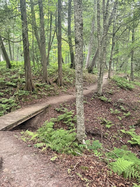 Carlton Trail at Jay Cooke State Park.