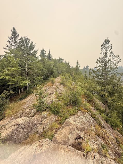 Rocky outcrop of the Carlton Trail.