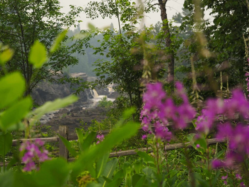 View of St. Louis River from the trailhead of the Carlton Trail.