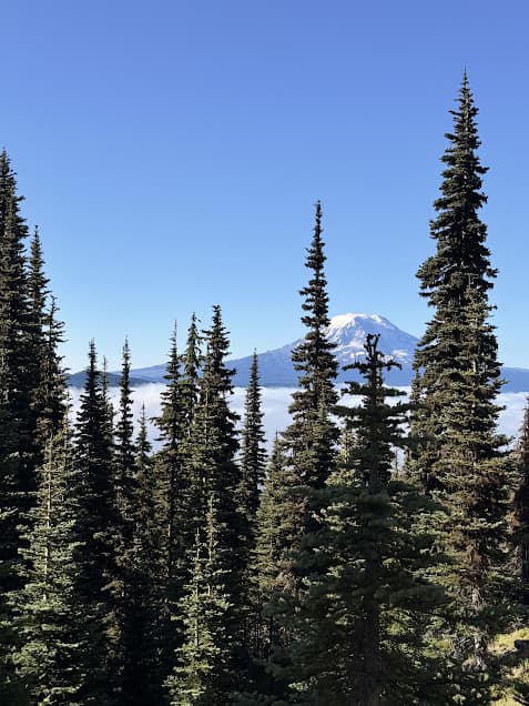 View from Goat Ridge lookout trail.