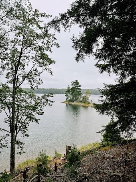 island on Clark Lake in Sylvania Wilderness Area.