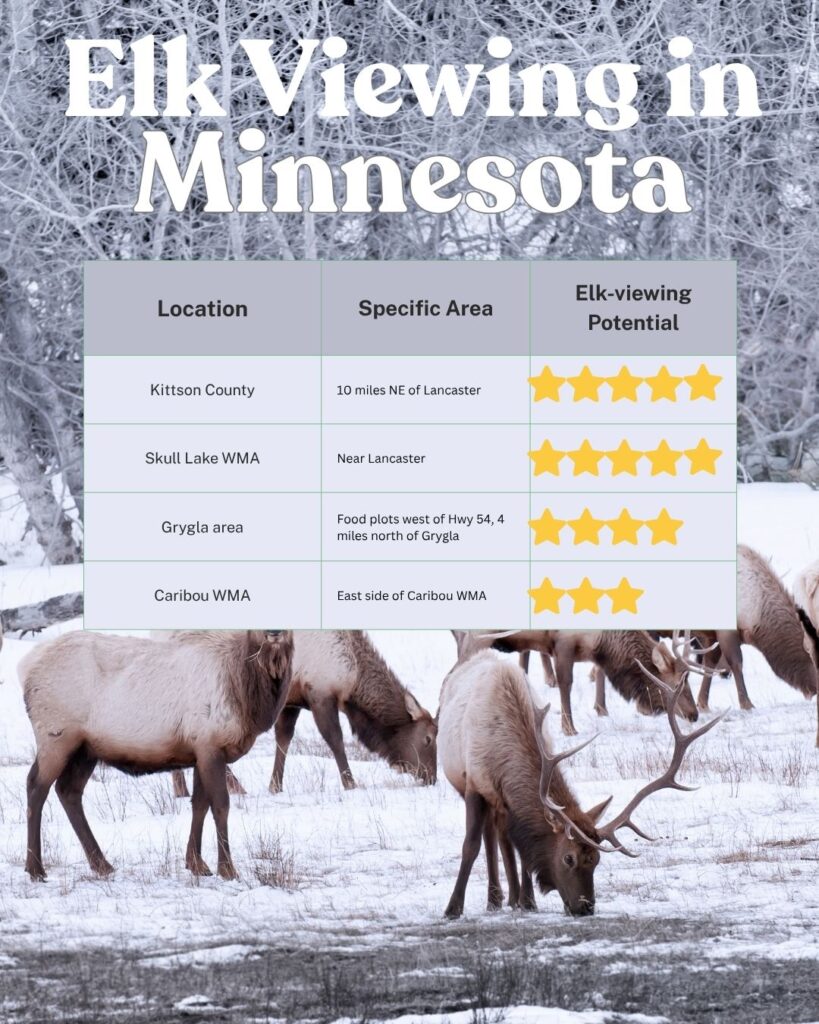 Table of elk viewing locations in Minnesota